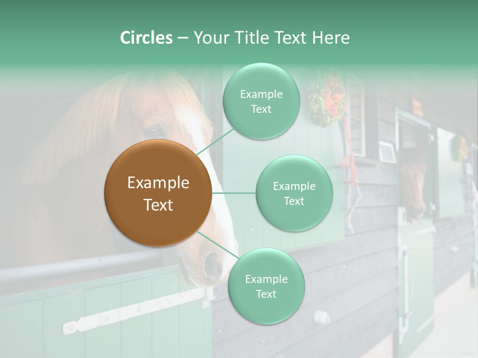 A Brown Horse Standing Next To A Green Door PowerPoint Template