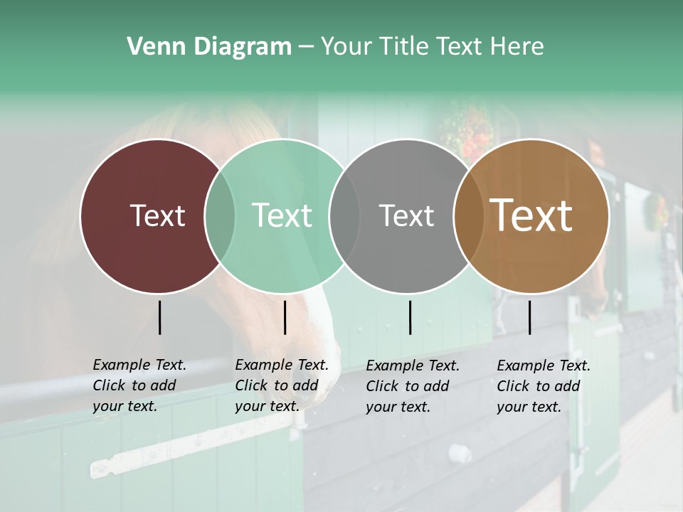 A Brown Horse Standing Next To A Green Door PowerPoint Template