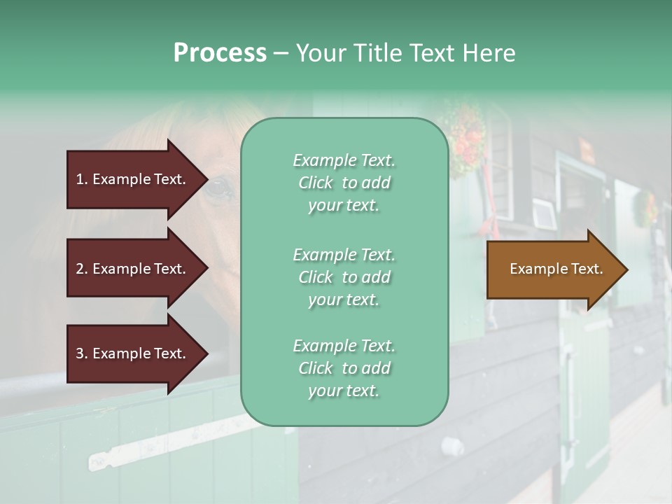 A Brown Horse Standing Next To A Green Door PowerPoint Template