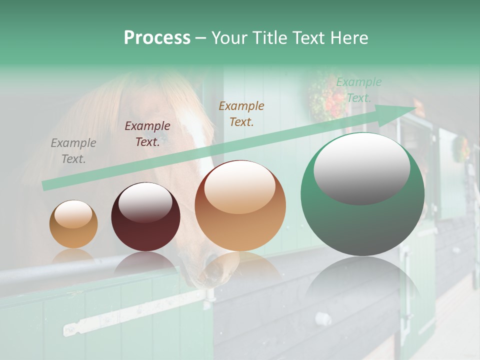A Brown Horse Standing Next To A Green Door PowerPoint Template