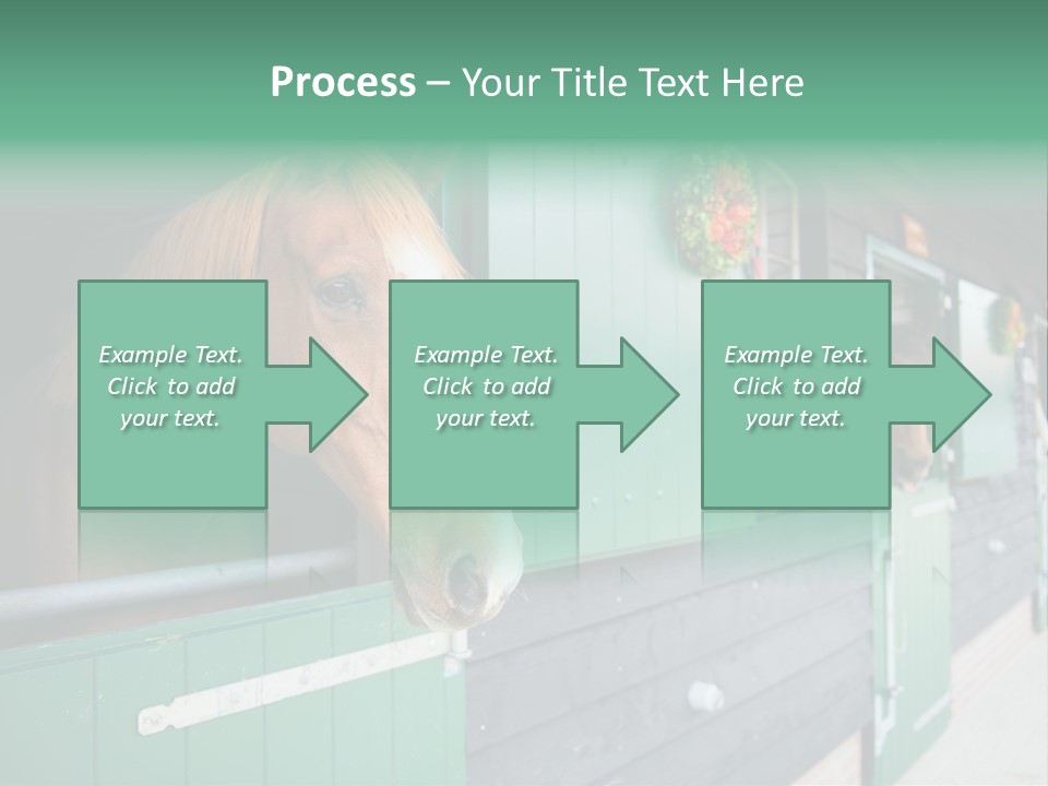 A Brown Horse Standing Next To A Green Door PowerPoint Template