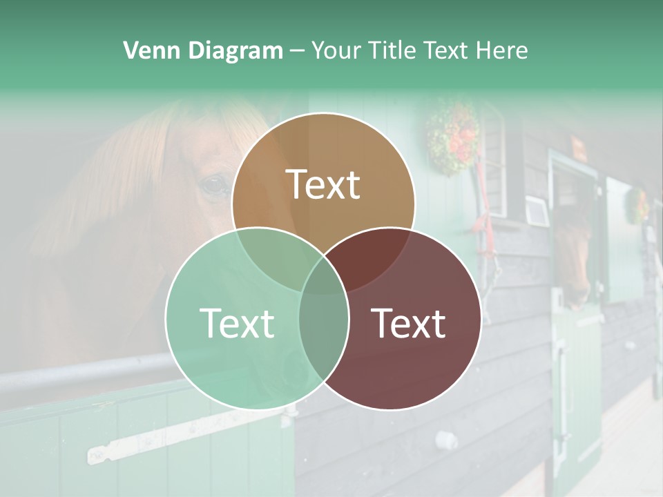 A Brown Horse Standing Next To A Green Door PowerPoint Template