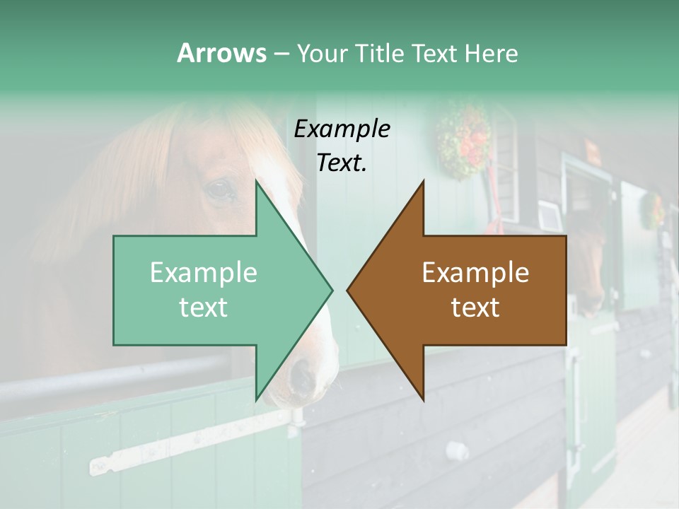A Brown Horse Standing Next To A Green Door PowerPoint Template
