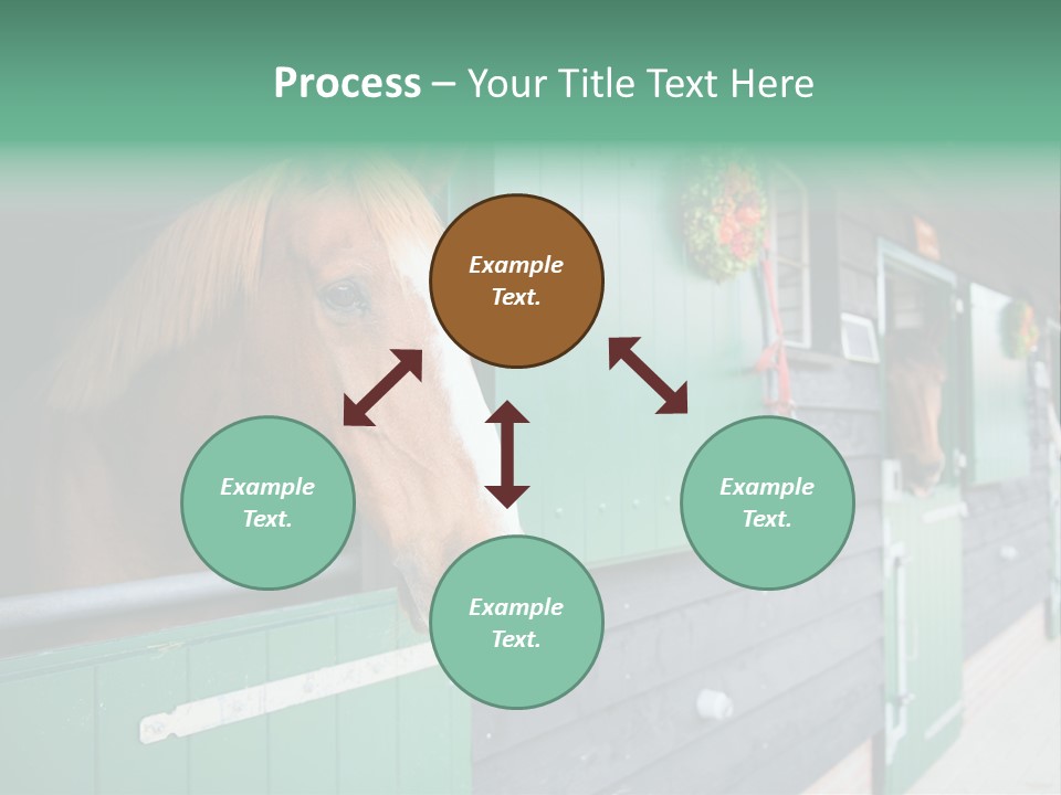 A Brown Horse Standing Next To A Green Door PowerPoint Template