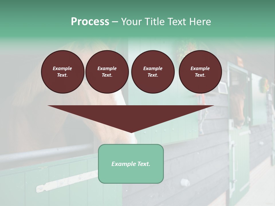 A Brown Horse Standing Next To A Green Door PowerPoint Template