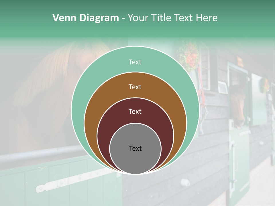 A Brown Horse Standing Next To A Green Door PowerPoint Template