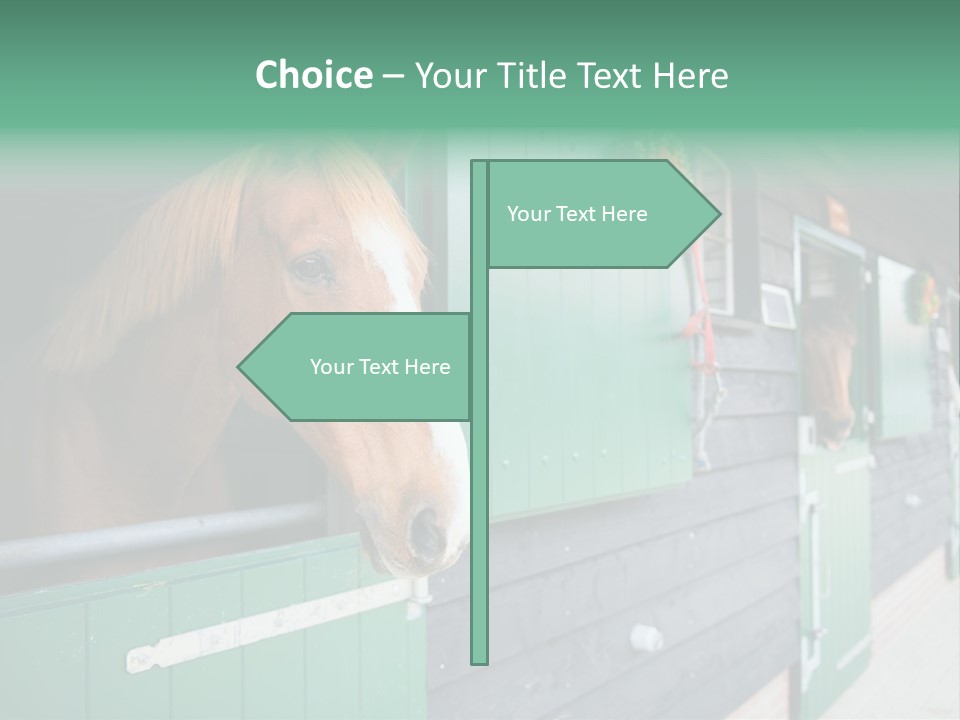 A Brown Horse Standing Next To A Green Door PowerPoint Template
