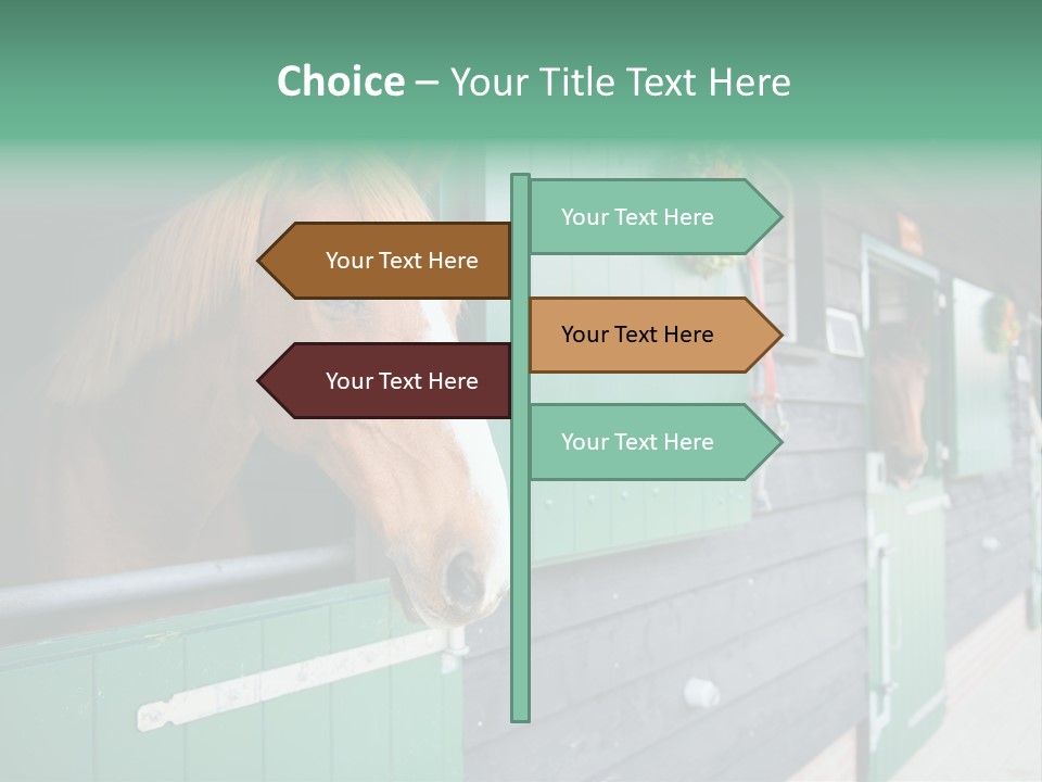 A Brown Horse Standing Next To A Green Door PowerPoint Template
