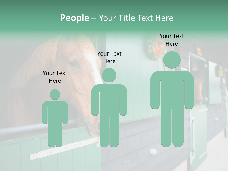 A Brown Horse Standing Next To A Green Door PowerPoint Template