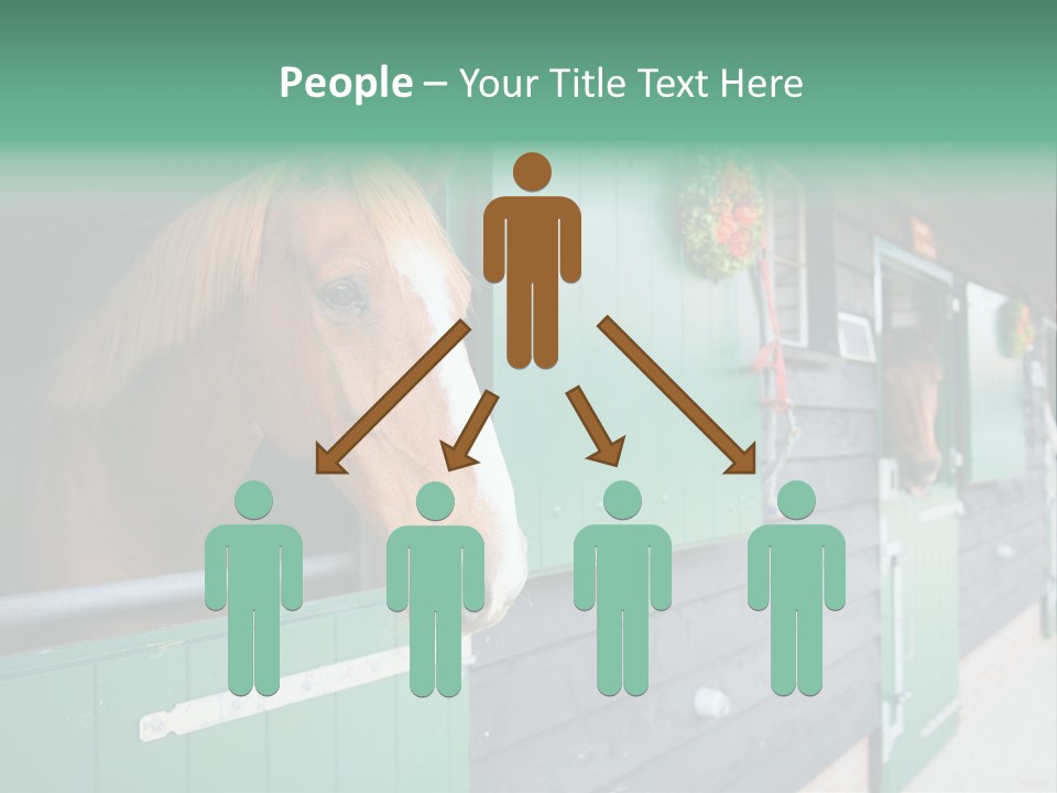 A Brown Horse Standing Next To A Green Door PowerPoint Template