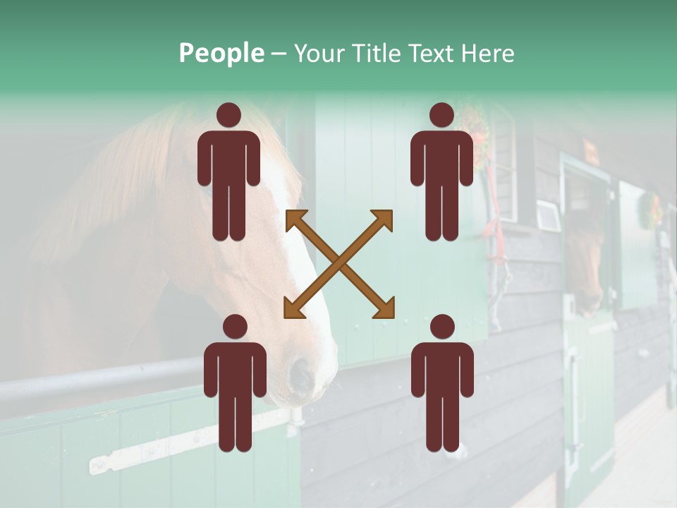 A Brown Horse Standing Next To A Green Door PowerPoint Template