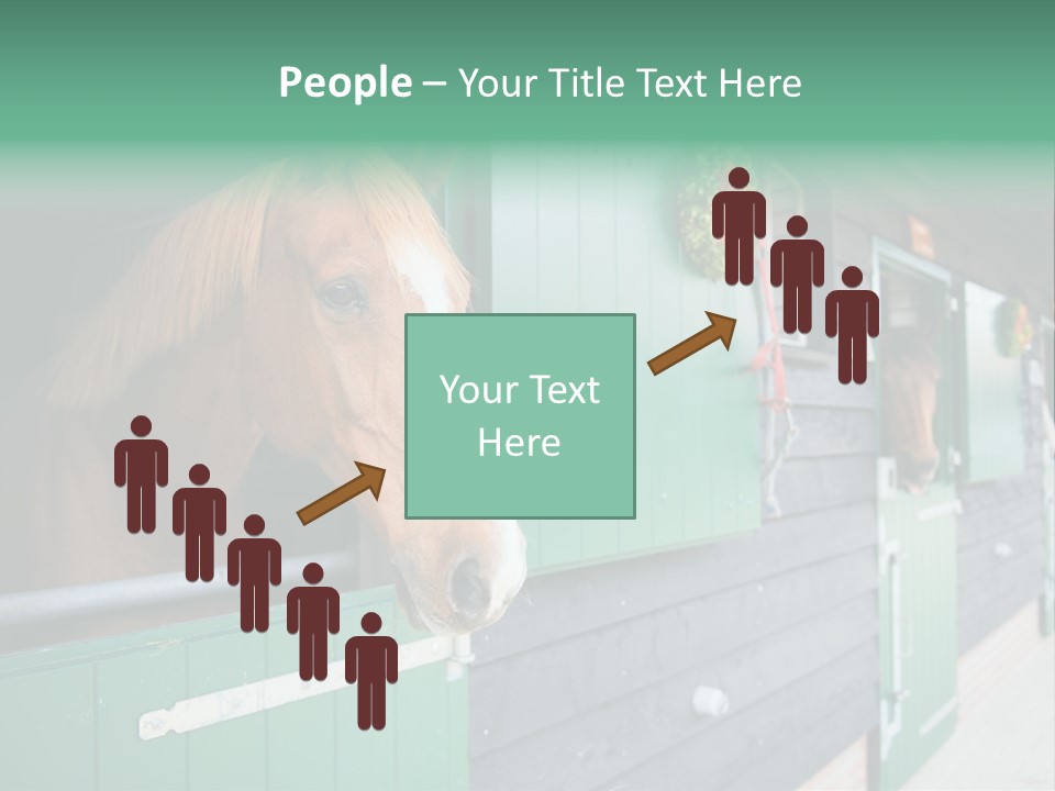 A Brown Horse Standing Next To A Green Door PowerPoint Template