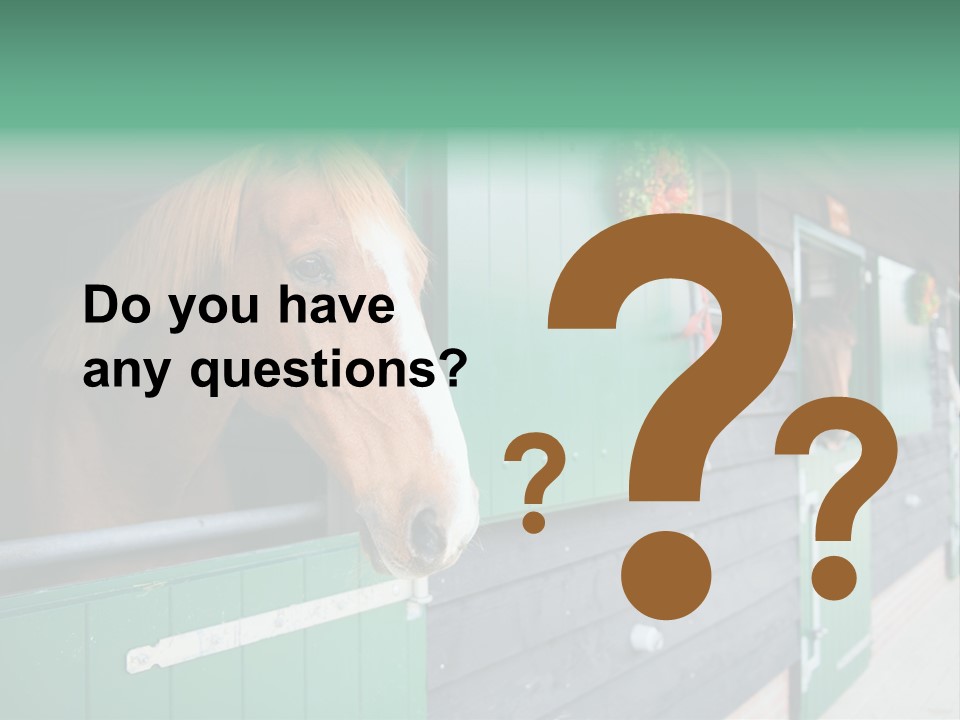A Brown Horse Standing Next To A Green Door PowerPoint Template