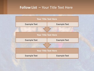 Two Children In A Swimming Pool Powerpoint Template PowerPoint Template