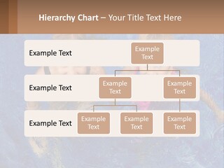 Two Children In A Swimming Pool Powerpoint Template PowerPoint Template