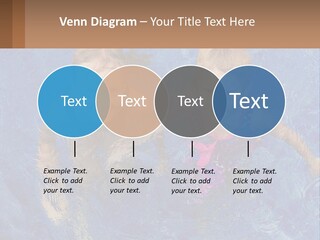 Two Children In A Swimming Pool Powerpoint Template PowerPoint Template