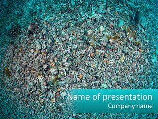 A Large Amount Of Rocks In The Ocean Powerpoint Template PowerPoint Template