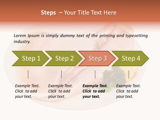 A Piece Of Raw Chicken On A Plate With Parsley PowerPoint Template