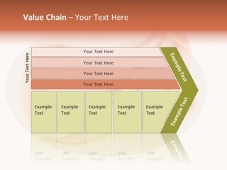 A Piece Of Raw Chicken On A Plate With Parsley PowerPoint Template