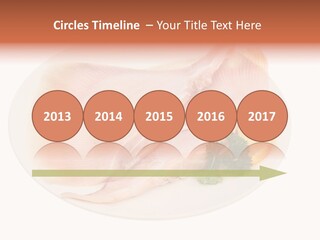 A Piece Of Raw Chicken On A Plate With Parsley PowerPoint Template