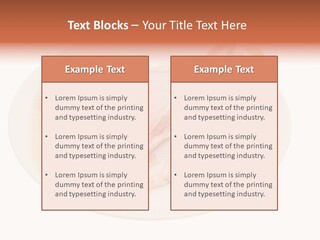 A Piece Of Raw Chicken On A Plate With Parsley PowerPoint Template
