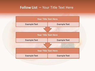 A Piece Of Raw Chicken On A Plate With Parsley PowerPoint Template