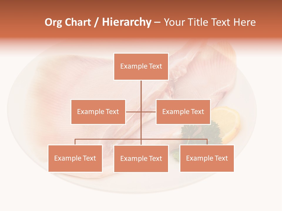 A Piece Of Raw Chicken On A Plate With Parsley PowerPoint Template