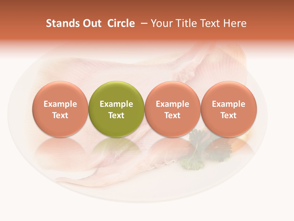 A Piece Of Raw Chicken On A Plate With Parsley PowerPoint Template