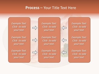 A Piece Of Raw Chicken On A Plate With Parsley PowerPoint Template