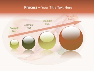 A Piece Of Raw Chicken On A Plate With Parsley PowerPoint Template