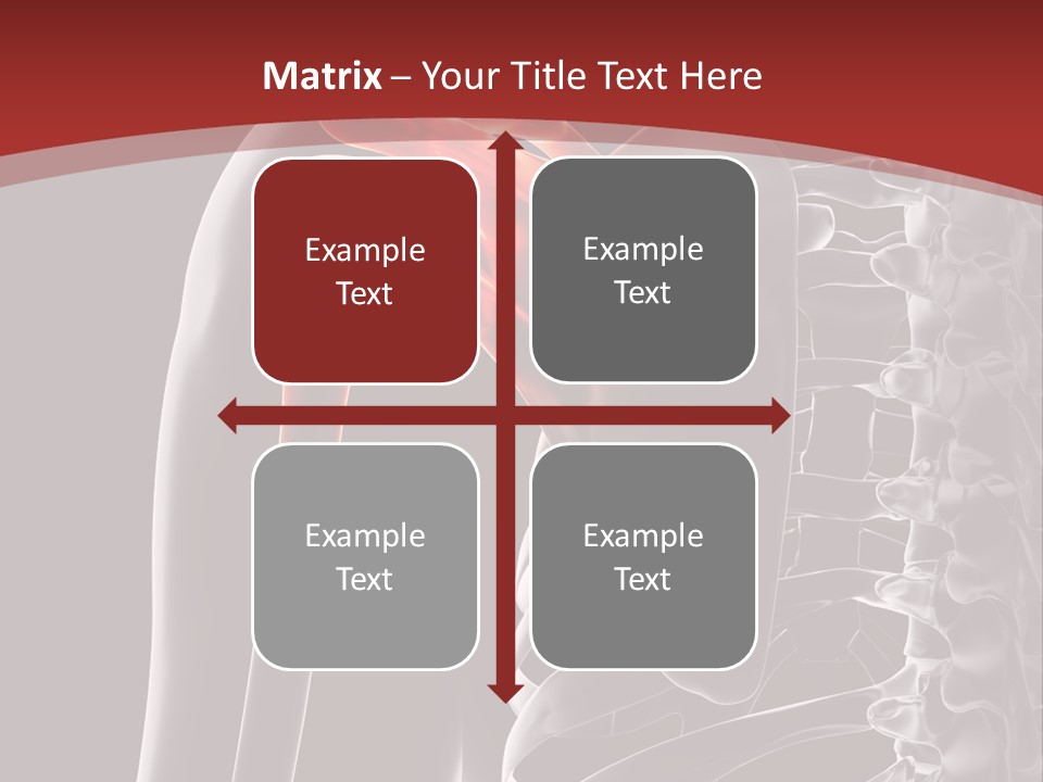The Back Of A Skeleton With A Red Background PowerPoint Template