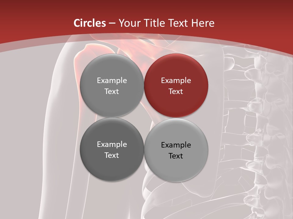The Back Of A Skeleton With A Red Background PowerPoint Template