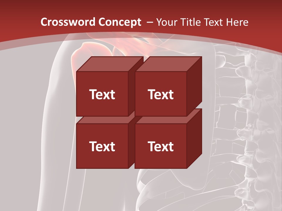 The Back Of A Skeleton With A Red Background PowerPoint Template
