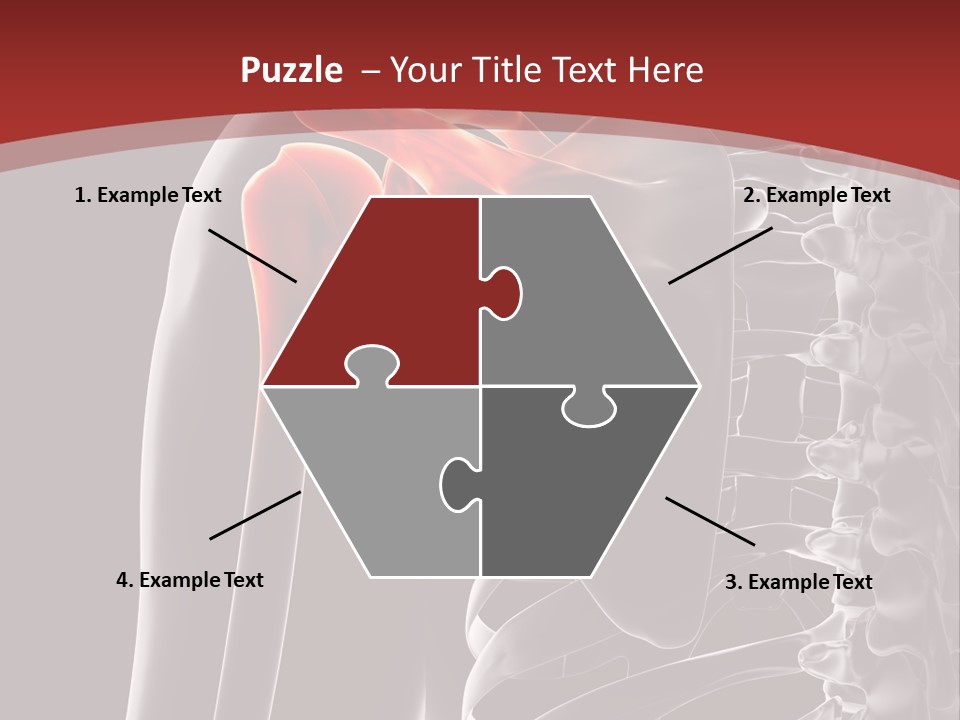 The Back Of A Skeleton With A Red Background PowerPoint Template