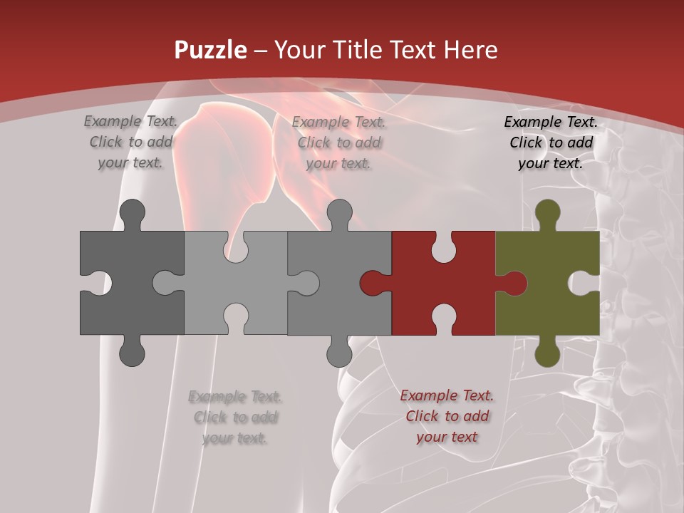 The Back Of A Skeleton With A Red Background PowerPoint Template