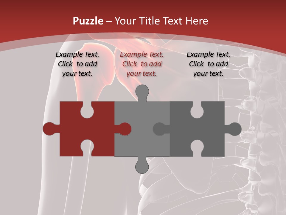 The Back Of A Skeleton With A Red Background PowerPoint Template