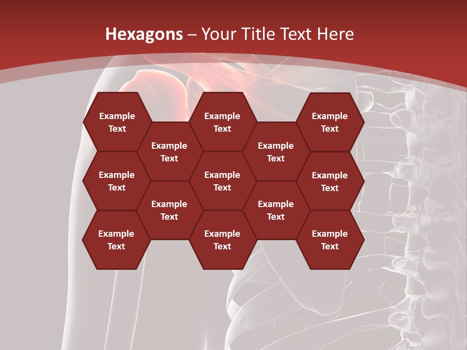 The Back Of A Skeleton With A Red Background PowerPoint Template