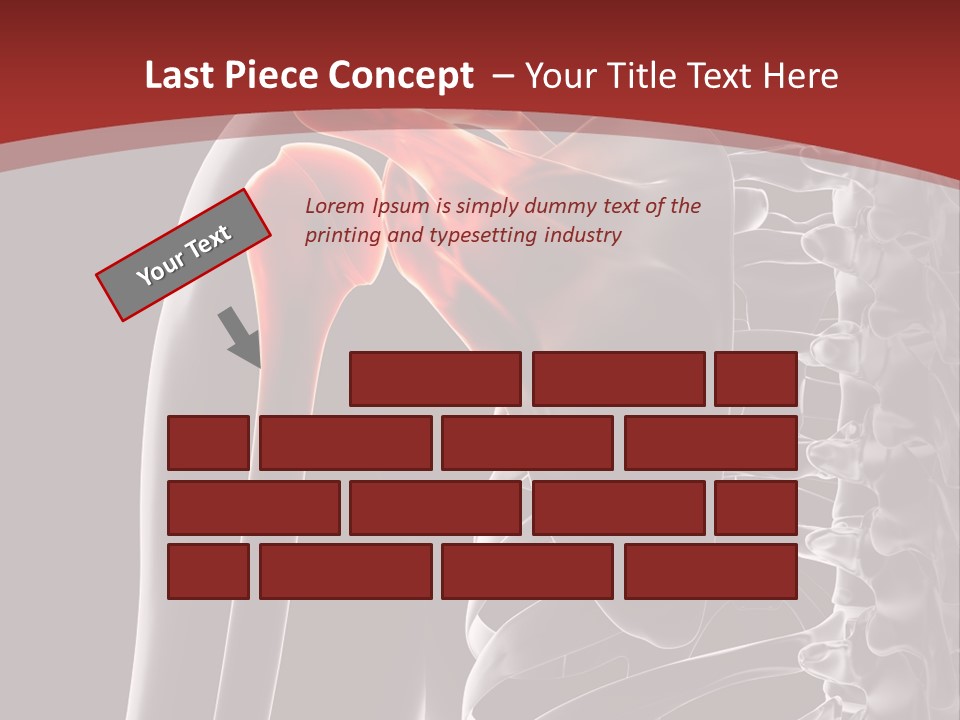 The Back Of A Skeleton With A Red Background PowerPoint Template