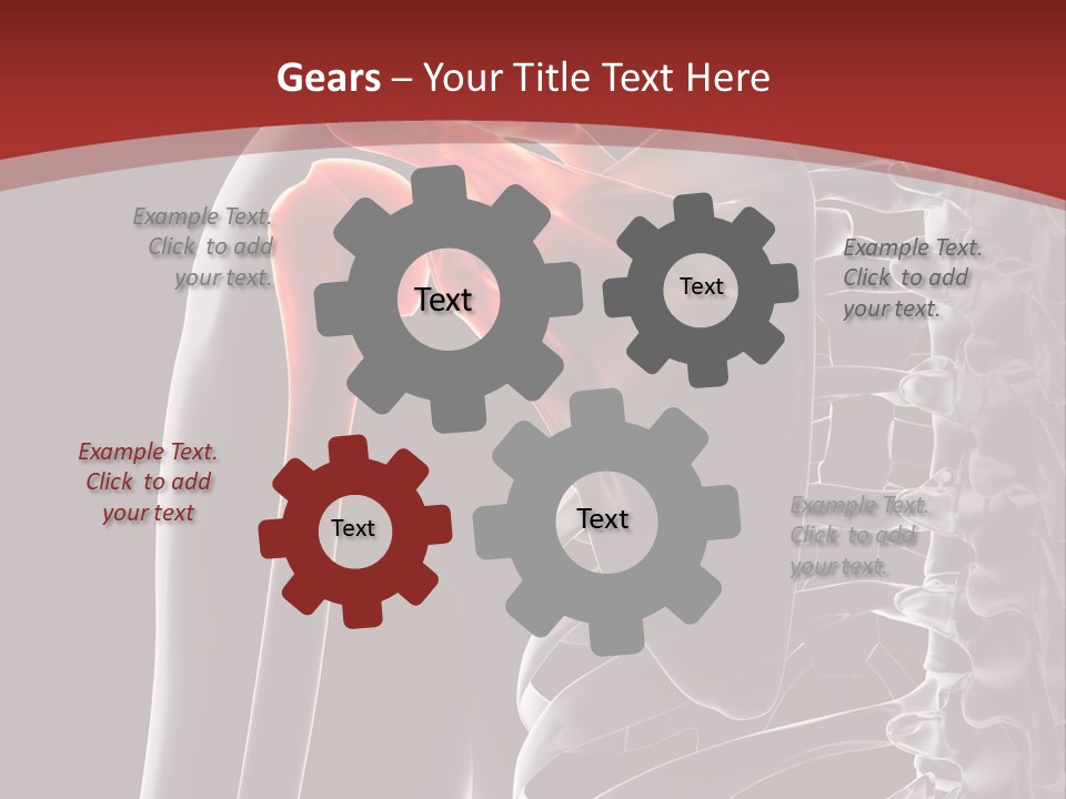 The Back Of A Skeleton With A Red Background PowerPoint Template