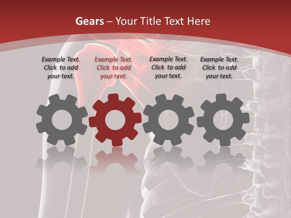 The Back Of A Skeleton With A Red Background PowerPoint Template