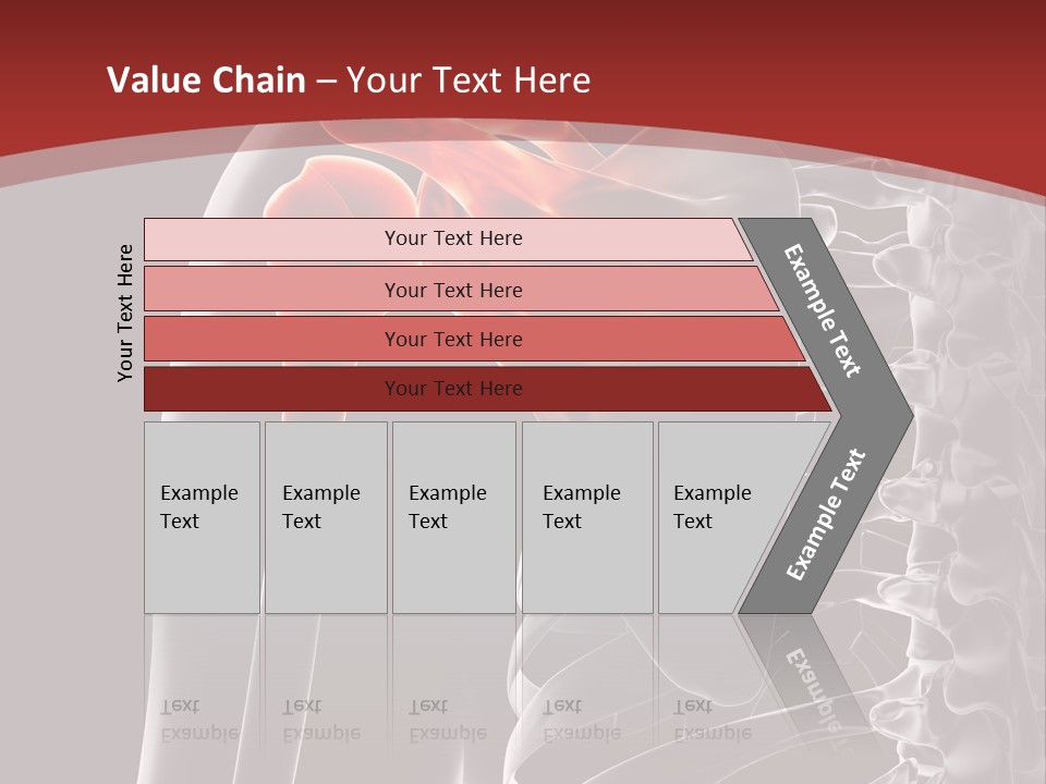 The Back Of A Skeleton With A Red Background PowerPoint Template