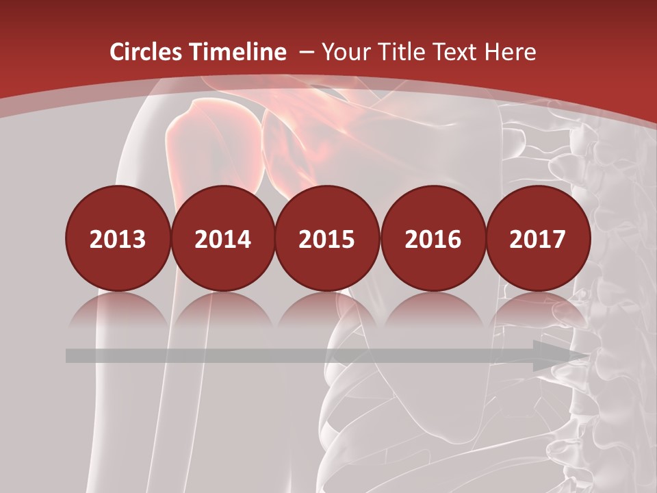 The Back Of A Skeleton With A Red Background PowerPoint Template