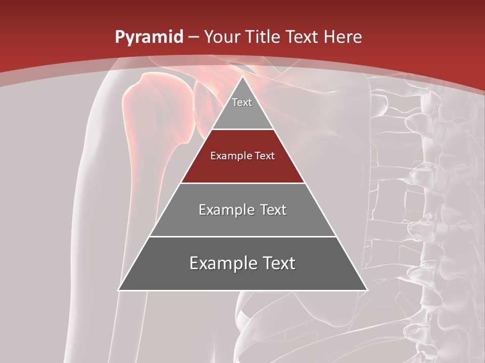 The Back Of A Skeleton With A Red Background PowerPoint Template