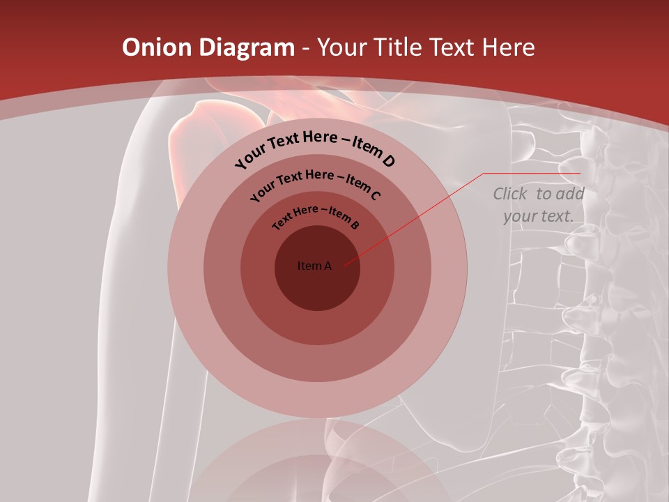 The Back Of A Skeleton With A Red Background PowerPoint Template