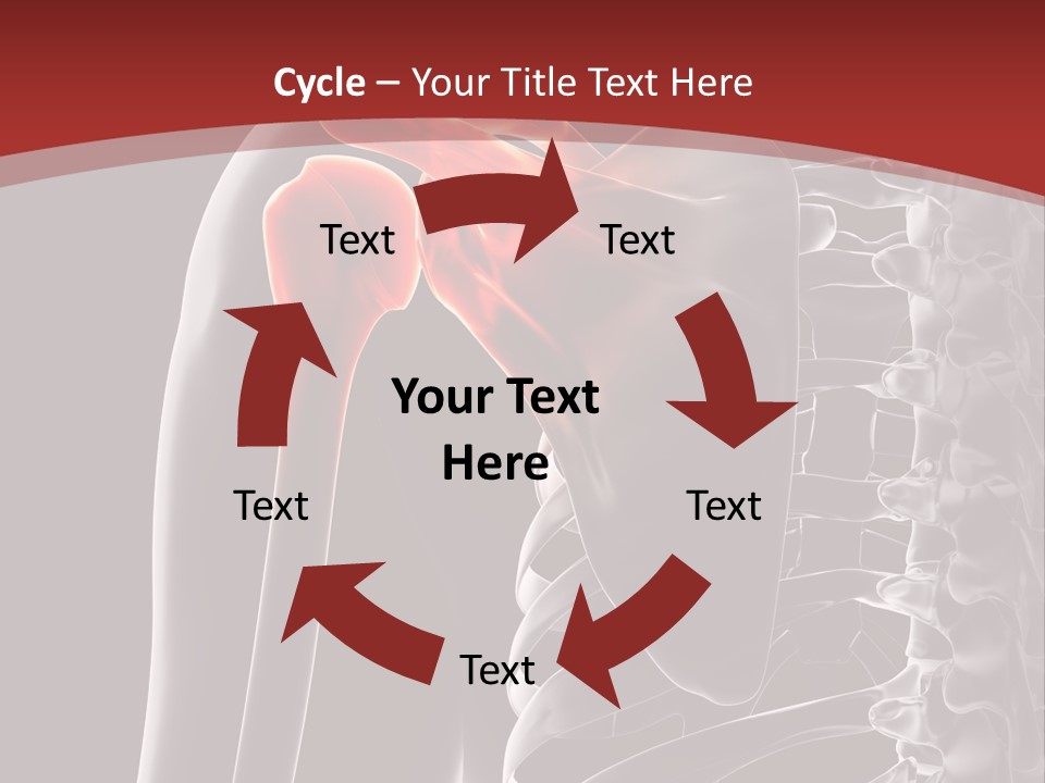 The Back Of A Skeleton With A Red Background PowerPoint Template