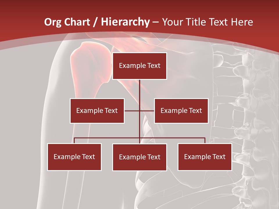 The Back Of A Skeleton With A Red Background PowerPoint Template