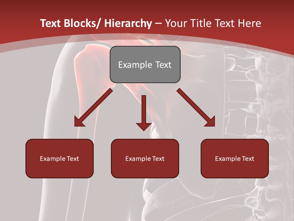 The Back Of A Skeleton With A Red Background PowerPoint Template