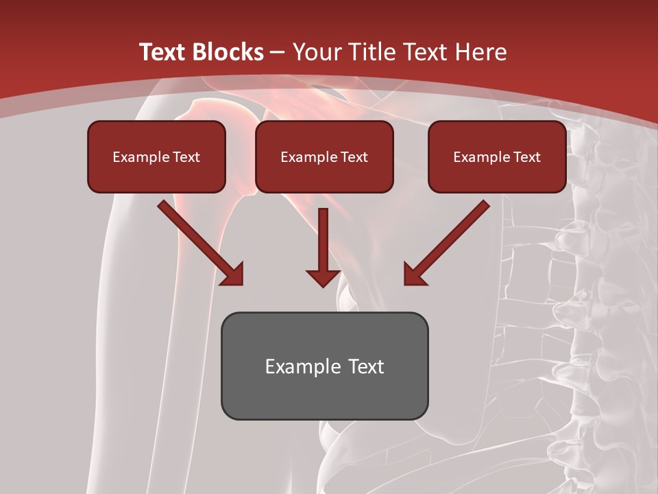 The Back Of A Skeleton With A Red Background PowerPoint Template