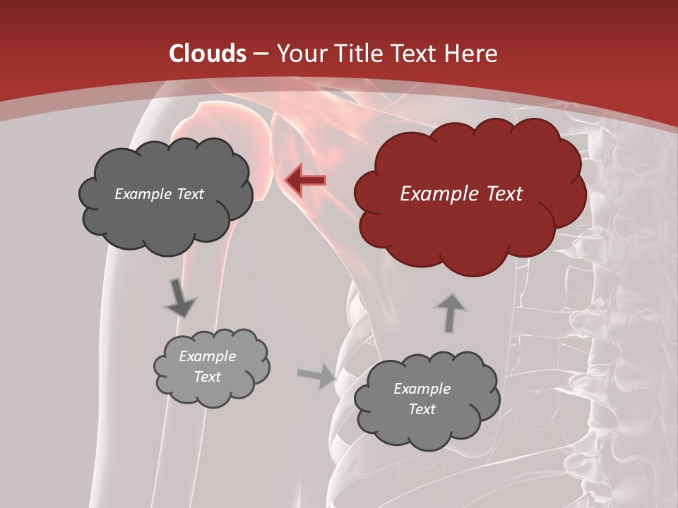 The Back Of A Skeleton With A Red Background PowerPoint Template