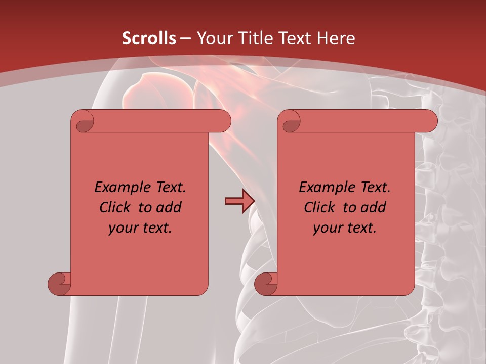 The Back Of A Skeleton With A Red Background PowerPoint Template
